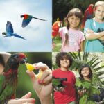 Bali Bird Park