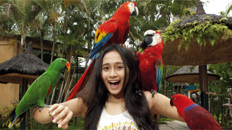 Cheerful young girl surrounded by macaws and lorikeets at Bali Bird Park