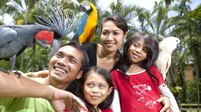 Families enjoy interacting with tropical birds at Bali Bird Park