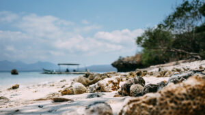 Menjangan Island Bali