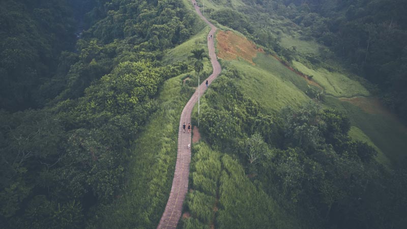 Campuhan Ridge Walk