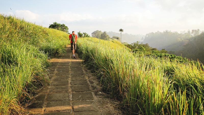 A tourist hiking along Campuhan Ridge Walk in Ubud Bali