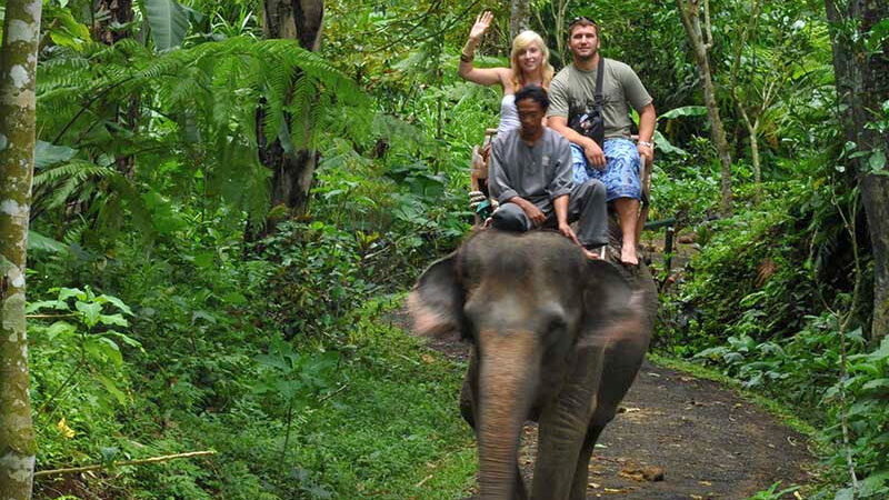 Mason Elephant Park Taro Ubud