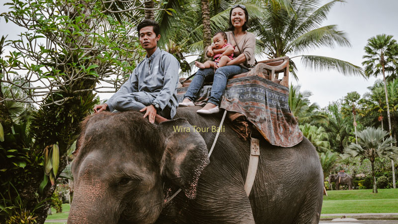 Ubud Elephant Safari Ride Tour With Children