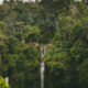 Hidden Sekumpul Waterfalls Bali