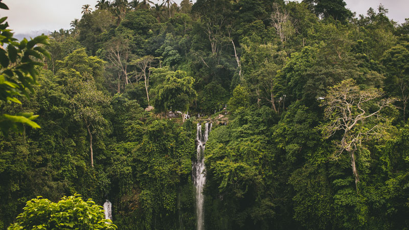 Hidden Sekumpul Waterfalls