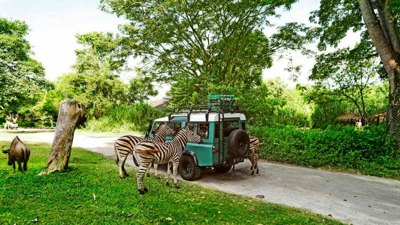 Bali Safari Marine Park Family Experience