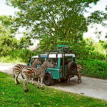 Bali Safari And Marine Park