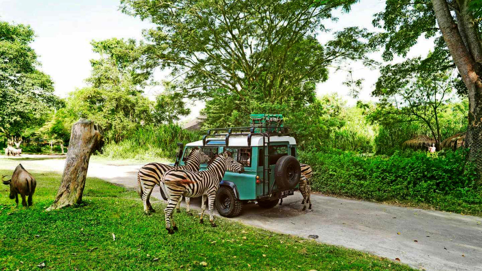 bali safari marine park buka jam berapa