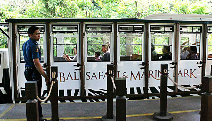 Safari Journey Bali, Best Things To Do For Kids & Family On A Vacations