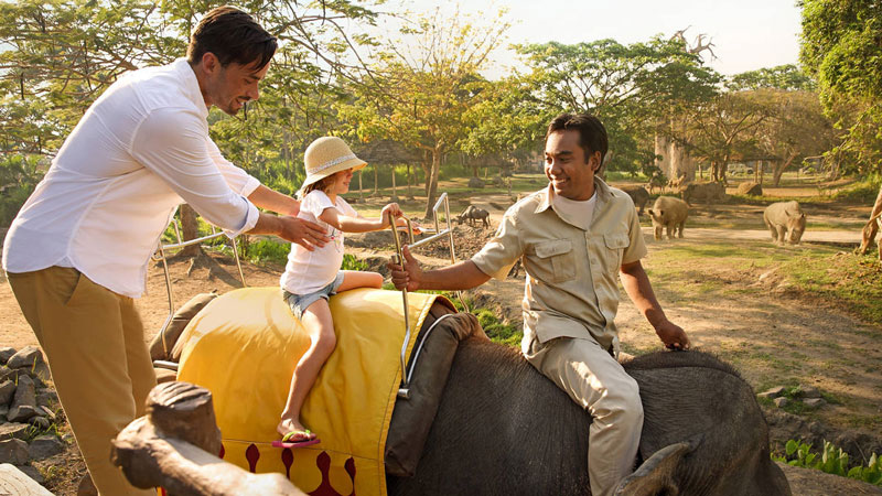 Elephant Ride Bali