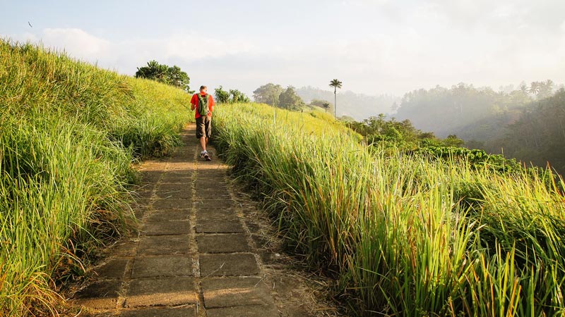 Campuhan Ridge Walk Ubud