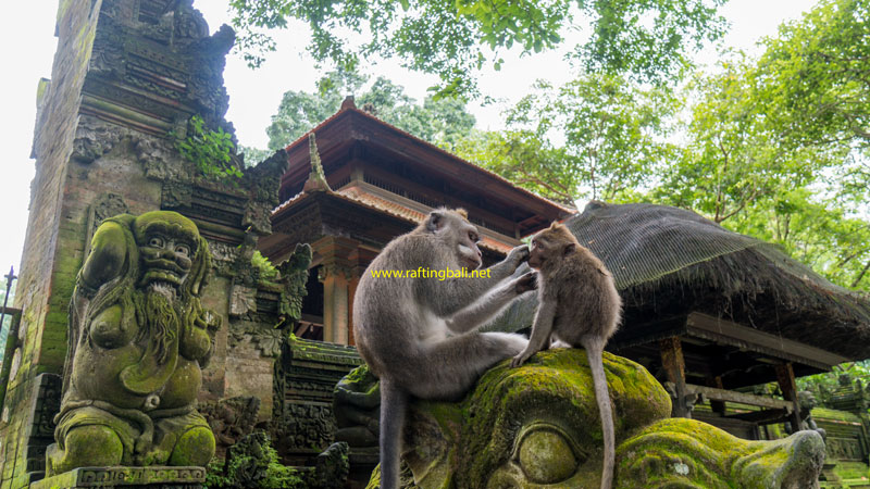 The Monkey Forest Ubud Attraction