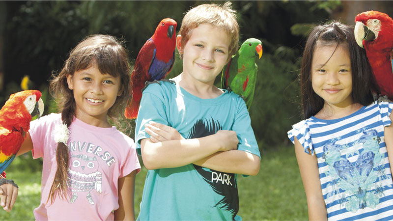 7 Regions Exhibits Bali Bird Park - Ten Most Famous Kids Vacation Activities In Bali