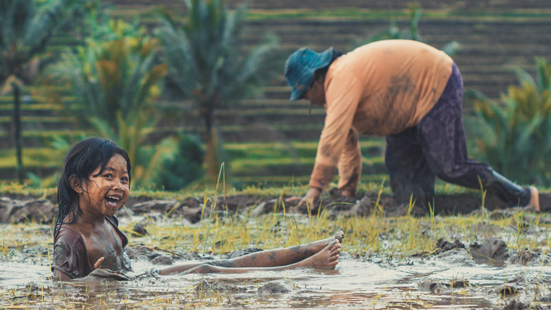 Rice Farming In Jatiluwih Green Land Bali