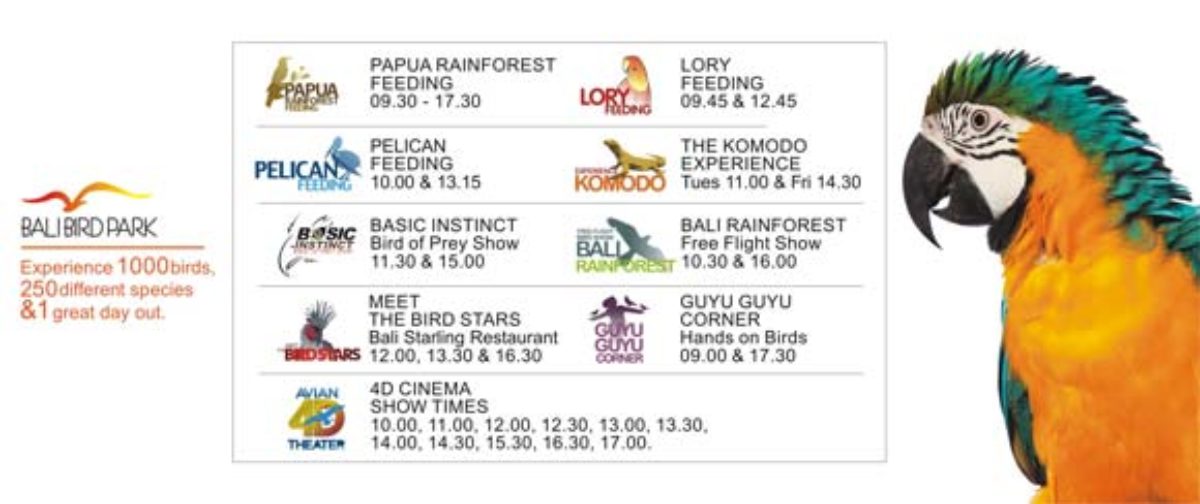 Daily Activities Schedule Bird Park Bali 9 Program Day To Day