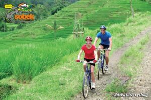Ubud Bike Tour Sobek Bali