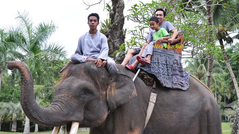 Mason Adventure Elephant Safari Ride - Best Area To Stay In Bali With Kids