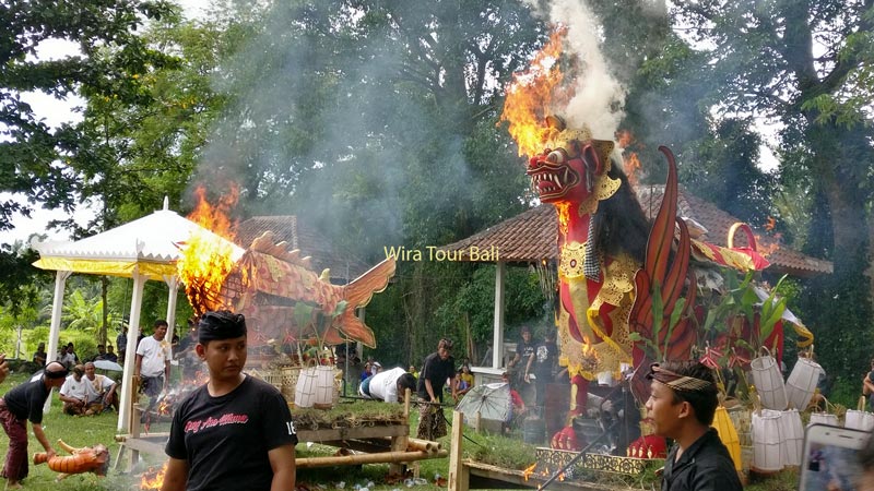 Bali Cremation Ceremony