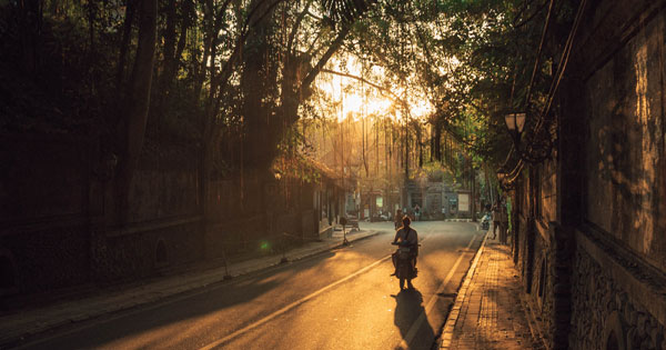 Transportation Options In Ubud