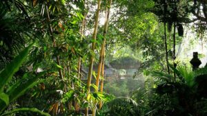 Gunung Lebah Temple Campuhan Ubud