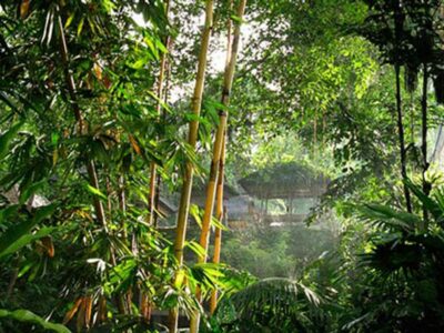 Gunung Lebah Temple Campuhan Ubud