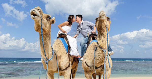 Couple kissing on camelback at Sawangan Beach for their pre-wedding shoot in Bali