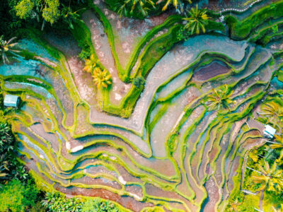 Aerial view of the vibrant Tegallalang Rice Terraces in Ubud