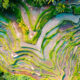 Aerial view of the vibrant Tegallalang Rice Terraces in Ubud