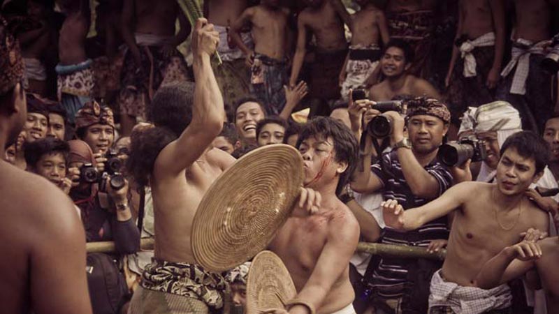 Pandanus War At Ancient Village