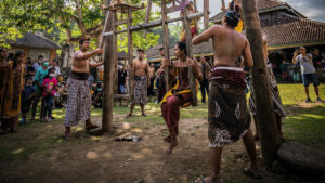 Villagers and visitors gather around traditional swings during a cultural event in Tenganan Village.