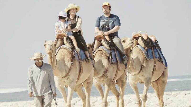 Bali Camel Safari Family Adventure