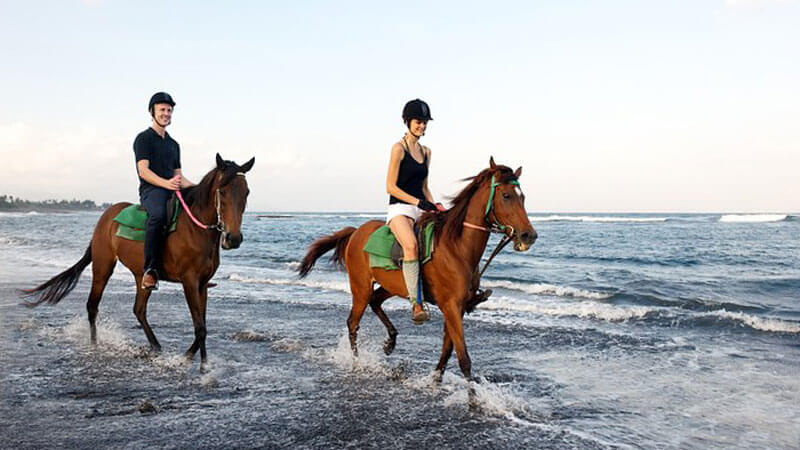 Horse Riding Saba Beach Family Activity