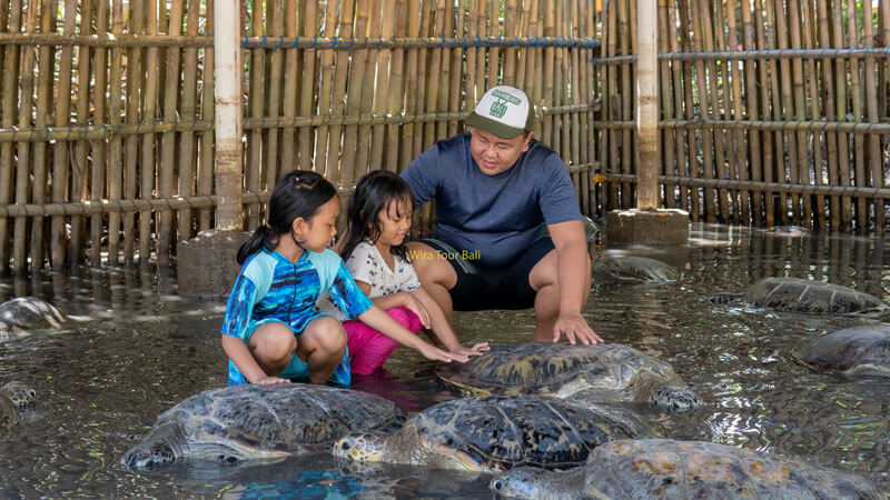 Tanjung Benoa Turtle Conservation Family Visit