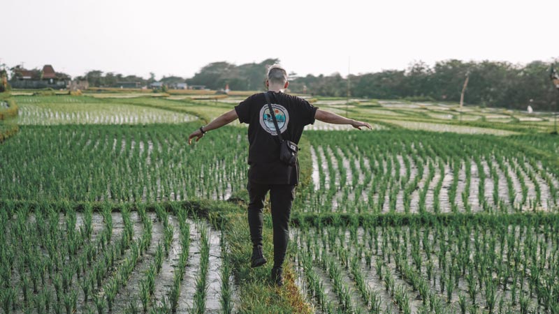 Walk Around The Rice Fields