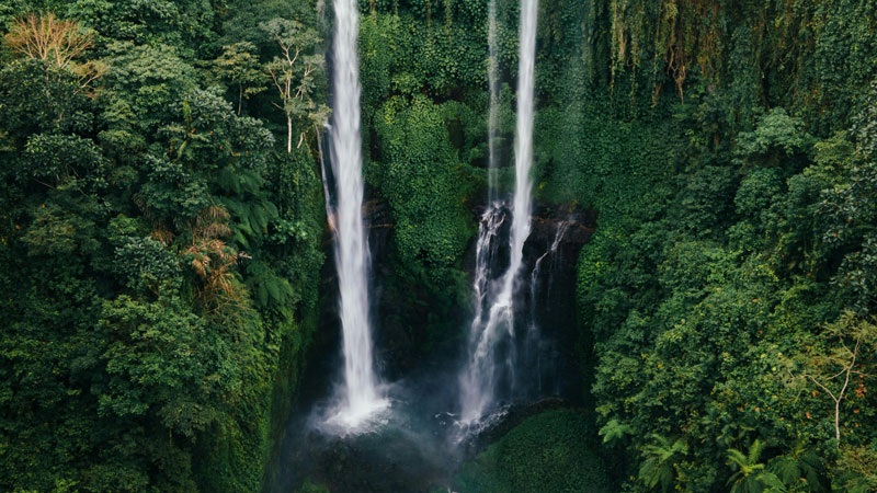 Natural Cascade seen from the air, surrounded by green trees in Bali, Indonesia