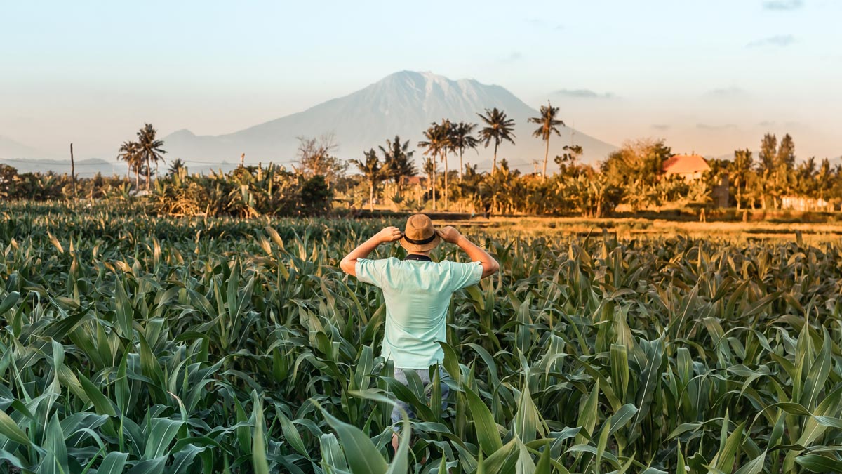 5 october bali