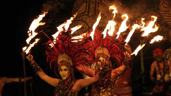 Night Safari Show