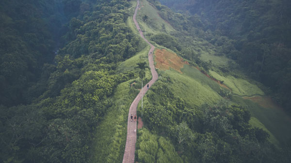 Campuhan Hill Ubud