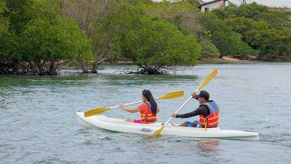 Kayaking Menjangan Island