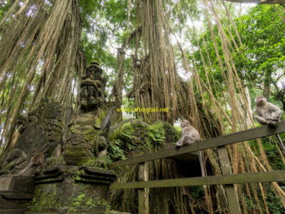 Monkey Forest Ubud Bali