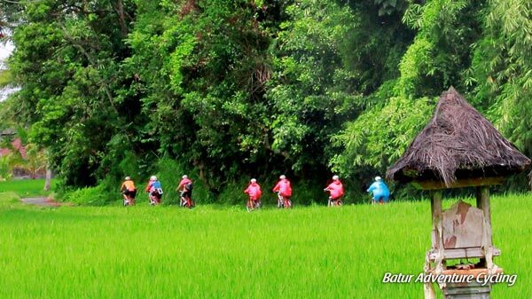 Cycling Tour Bali Sobek