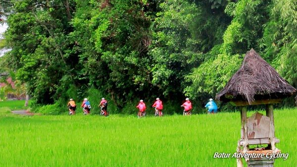 Cycling Tour Bali Sobek