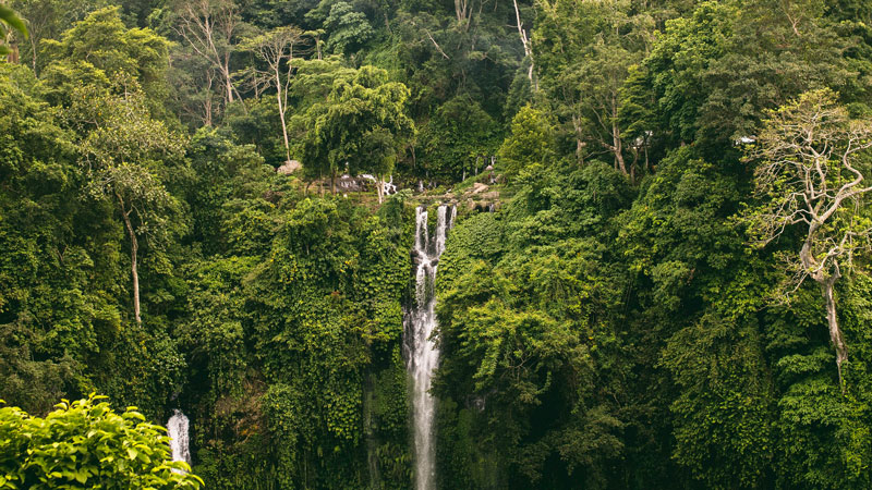 Bali Waterfalls