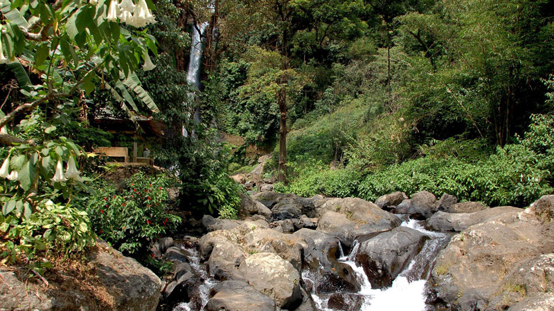 ranquil Gitgit Waterfall flows through a rocky terrain surrounded by Bali's lush flora.