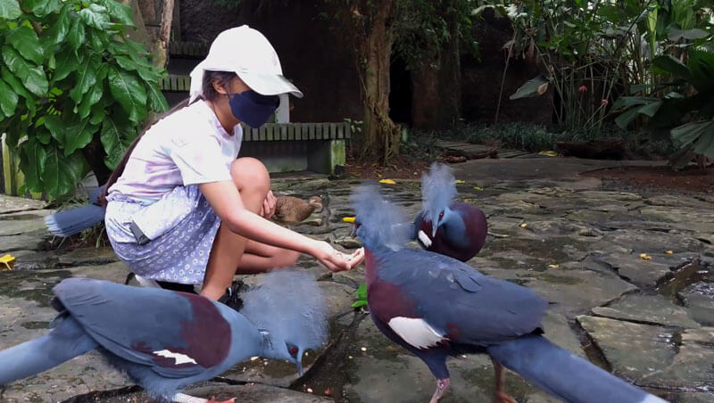 Kid-friendly bird-feeding fun at Gianyar Bird Sanctuary.