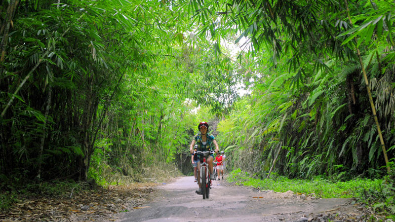 Cyclists navigating through lush bamboo forests during the Bike Expedition in Ubud by Sobek Adventures