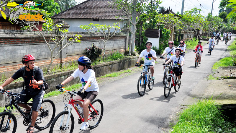 Adventure cyclists exploring Ubud village roads