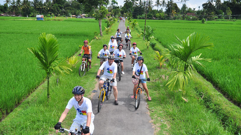 Cyclists enjoying the Ubud countryside tour with Sobek Adventure