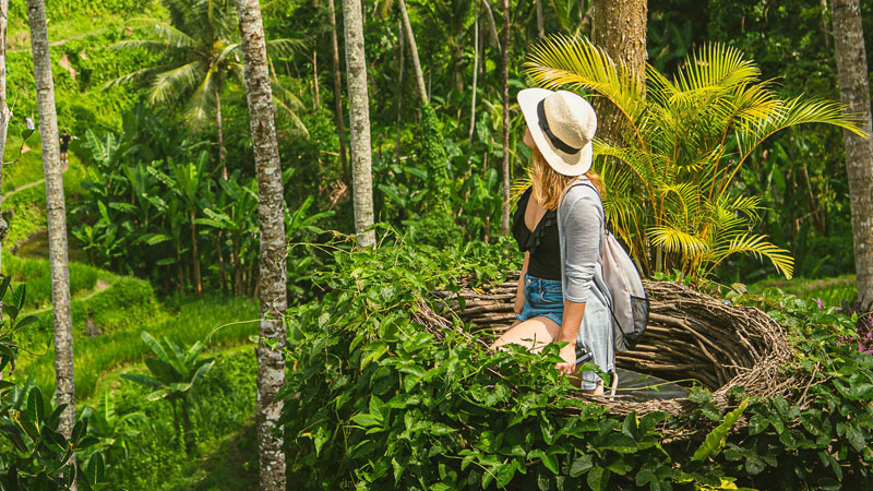 Traveler overlooking Tegallalang Rice Terraces